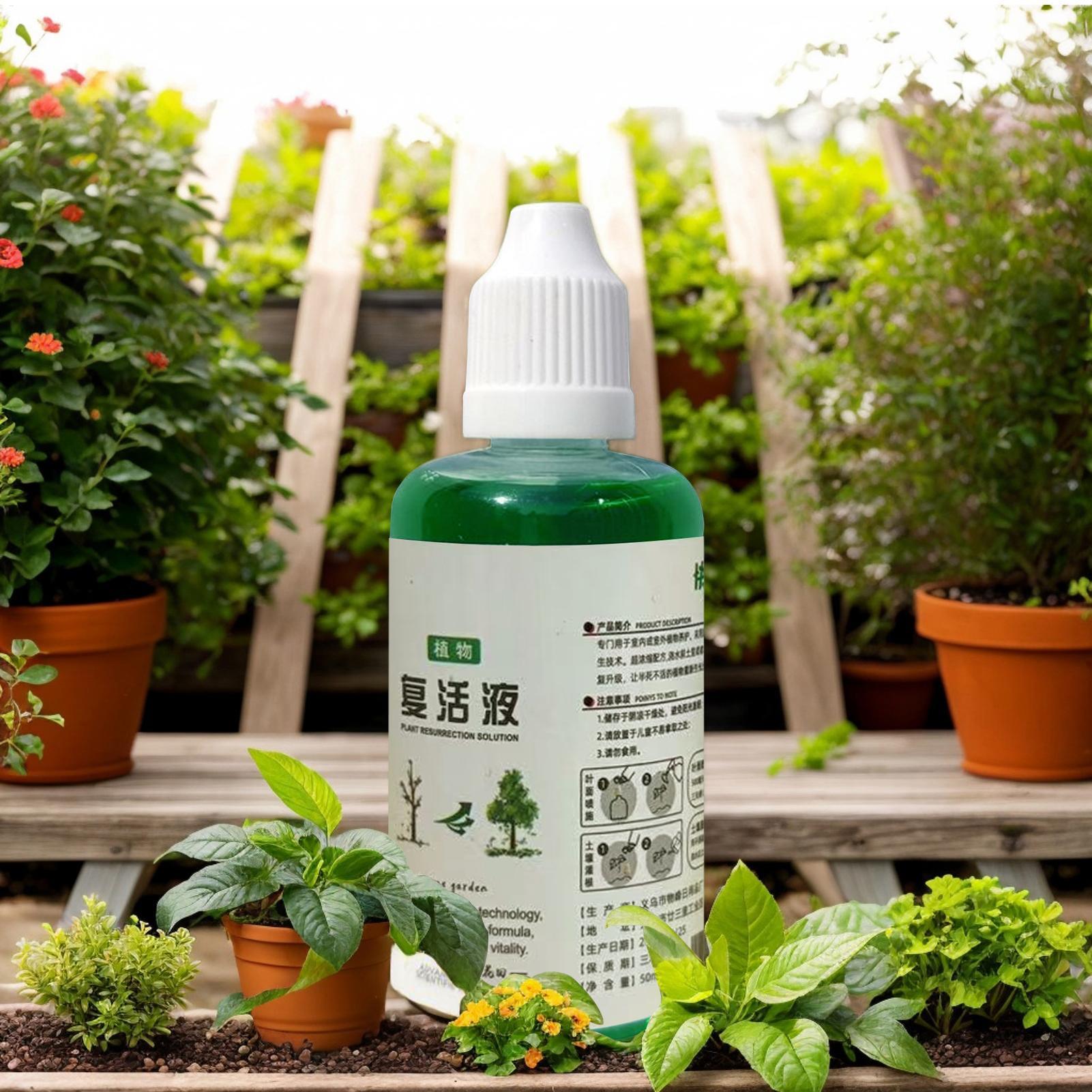 Root Stimulator for Plants Roo - Root Stimulator Liquid ulasan dan harga