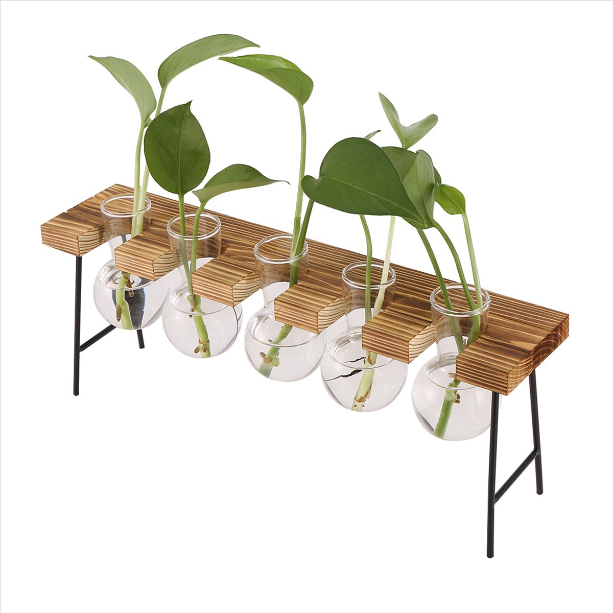 ABFS Propagation Stations Desk - Propagation Station Vase ulasan dan harga
